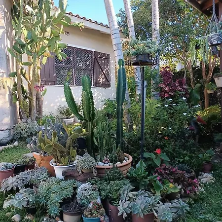 Studio Cravo E Canela - Aconchego E Privacidade, Ideal Para Casais, Com Cozinha Completa, Wi-Fi, Vaga De Garagem, Excelente Custo Beneficio, Lugar Tranquilo Entre As Praias Dos Ingleses E Mocambique Florianopolis Exterior photo